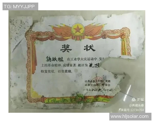 南京乒乓球队的奋斗与荣耀：一段不平凡的突破之旅纪实