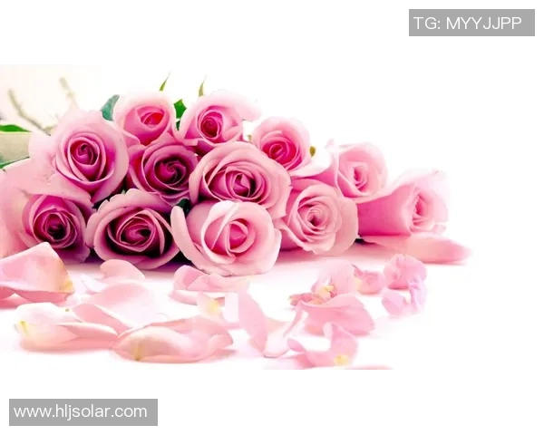 梦幻粉色足球明星壁纸尽显运动魅力与青春活力