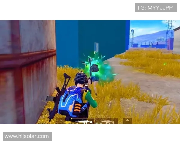 2026和平精英耐力排行榜：V5位居第2名