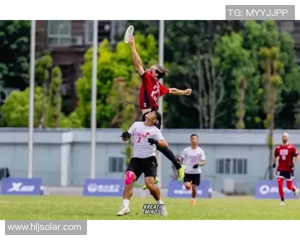 独家分析：北京飞盘队的个人能力对比